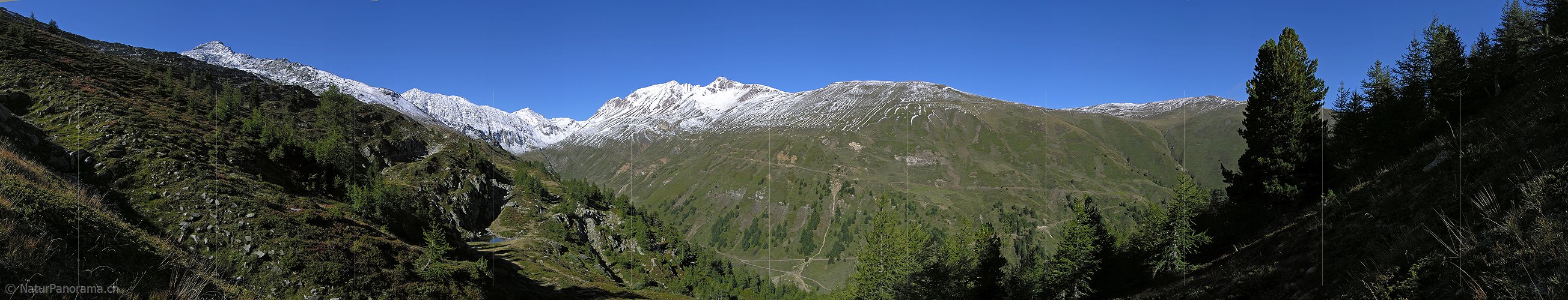 P001330: Panoramafoto Meiggerhorn (Saflischtal)