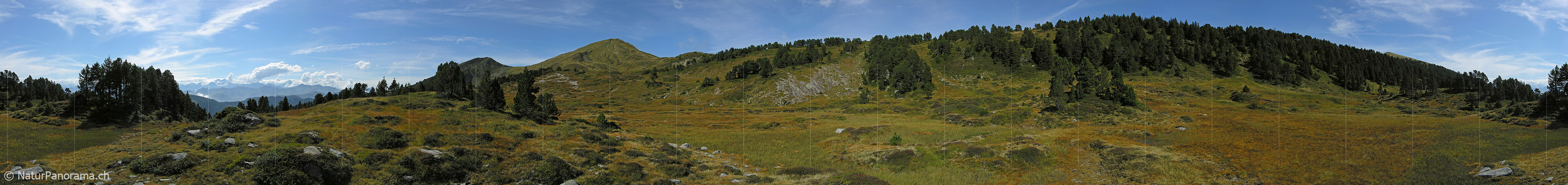 P001394: Panoramabild Moorlandschaft Fürstein