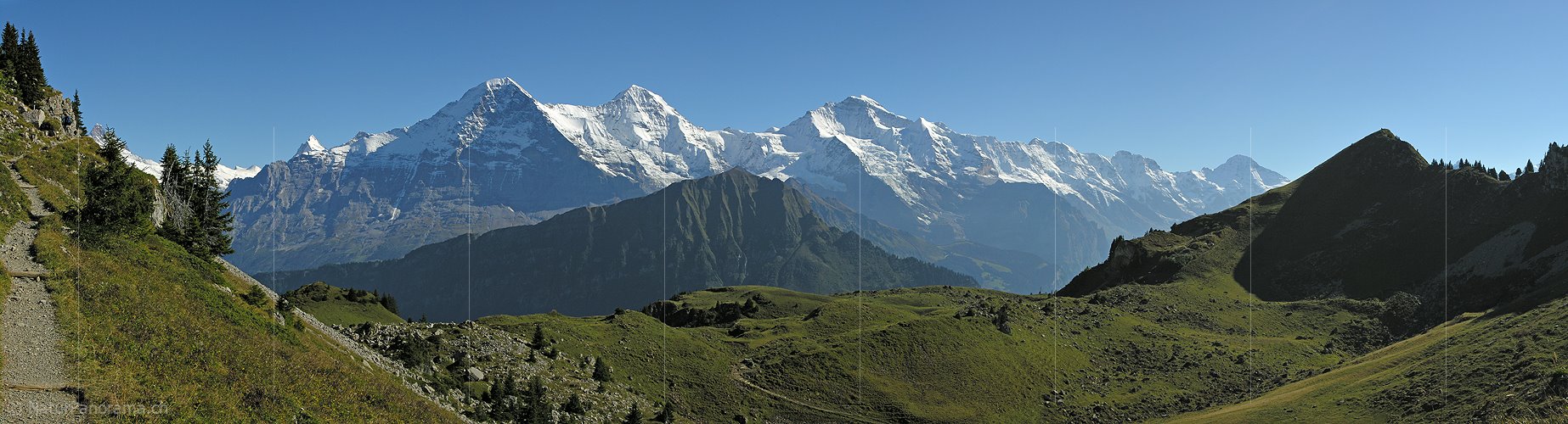 P001419: Eiger, Mönch und Jungfrau von der Schynigen Platte
