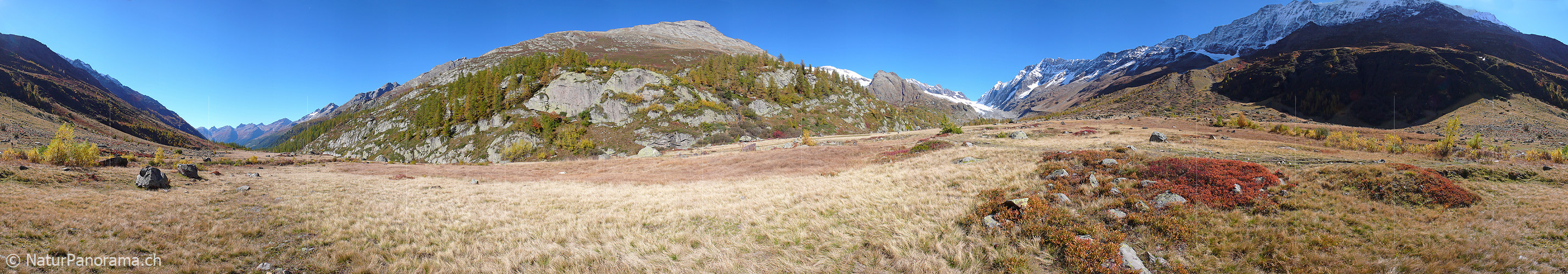 P001526: Panorama Moorlandschaft hinter Fafleralp im Lötschental
