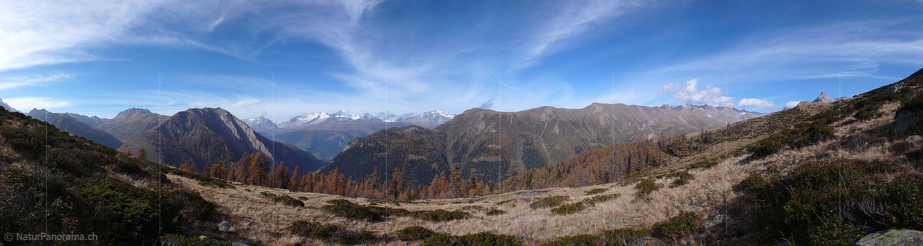 P001618: Panoramaaufnahme Herbstfarben in den Bergen