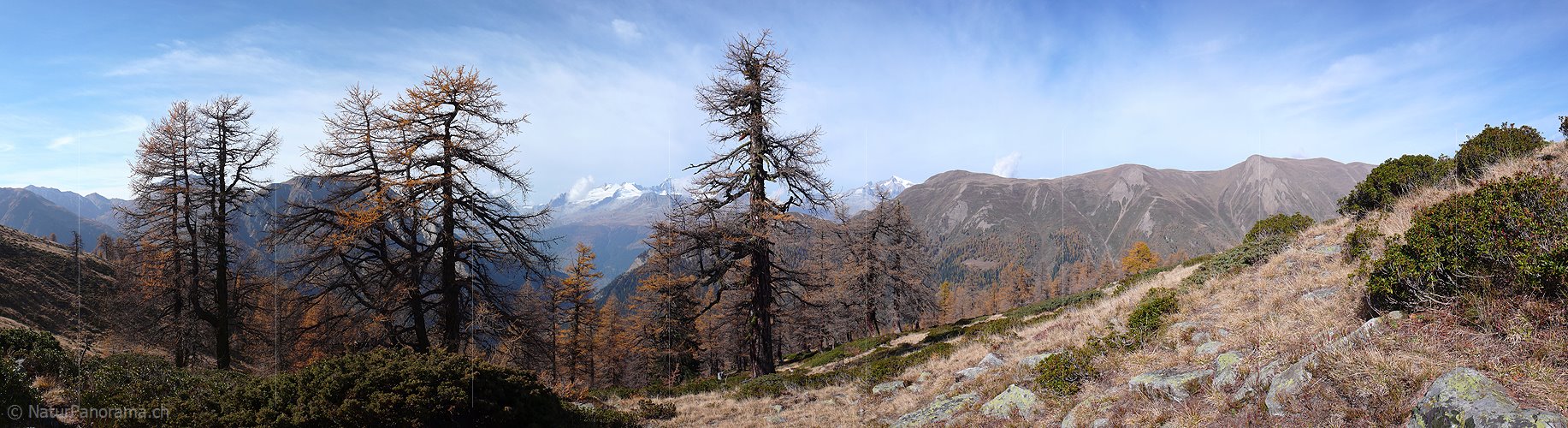 P001619: Panoramafoto Herbstfarben in den Bergen
