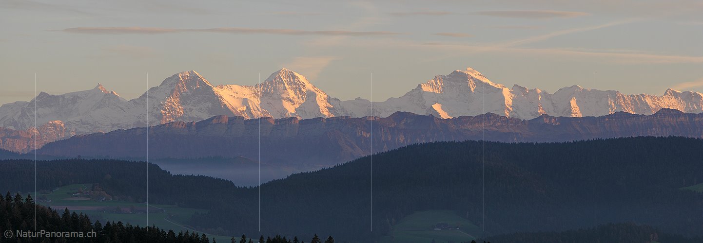 P001624: Panorama Abendstimmung über dem Emmental mit Eiger, Mönch und Jungfrau