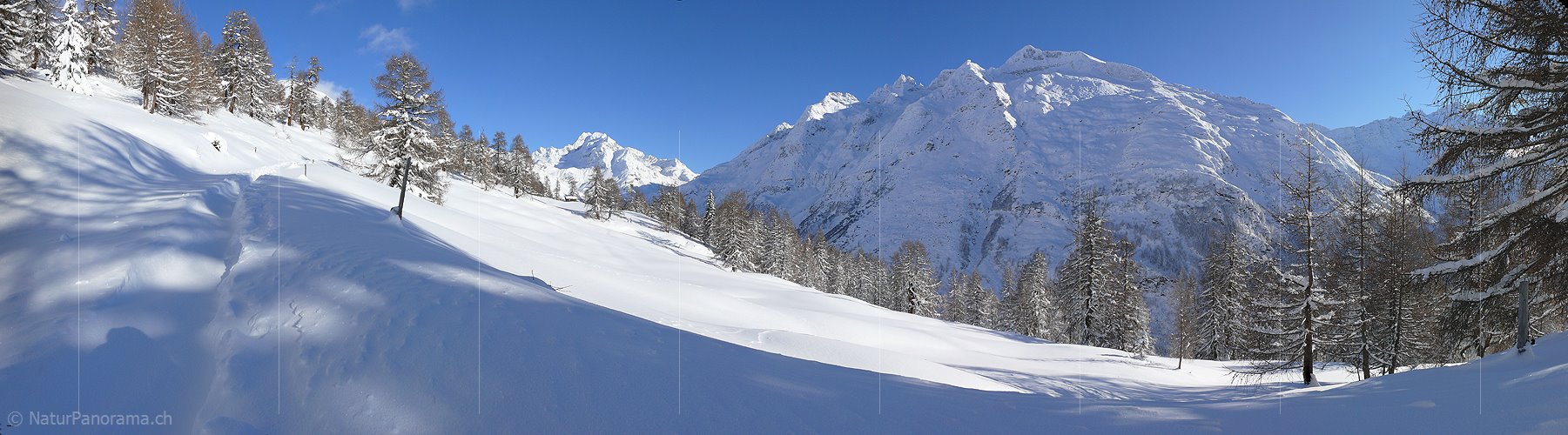 P001638: Panorama Winterlandschaft mit Ofenhorn
