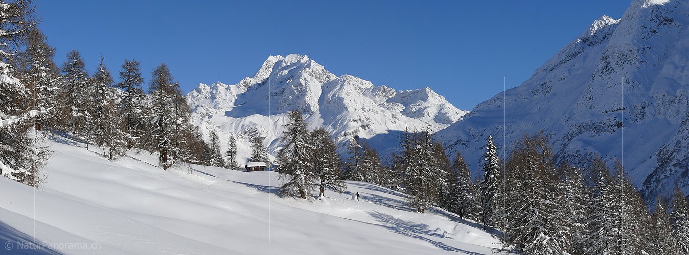 P001641: Panoramabild Winterlandschaft mit Ofenhorn