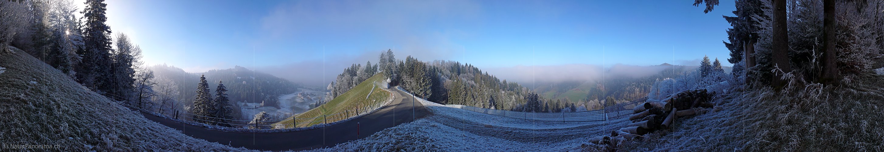 P001730: Panorama Wintermorgen