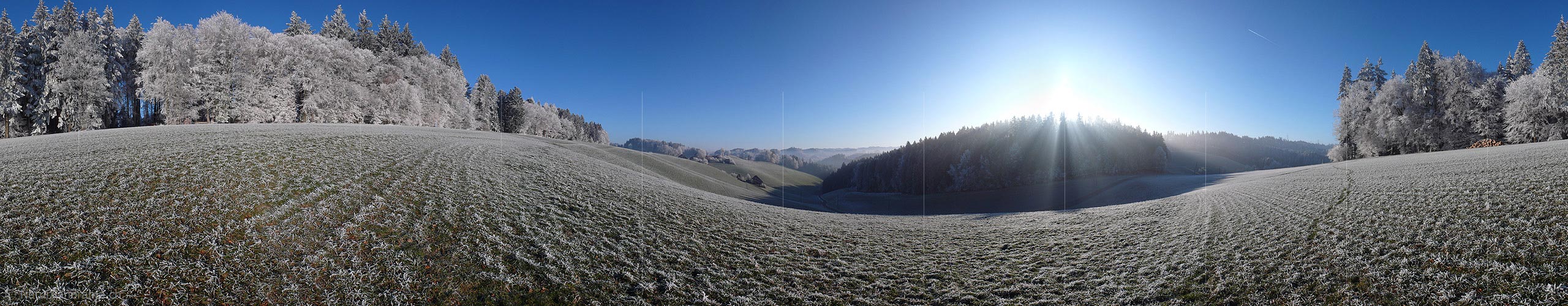 P001738: 360° Panorama Hoarfrost