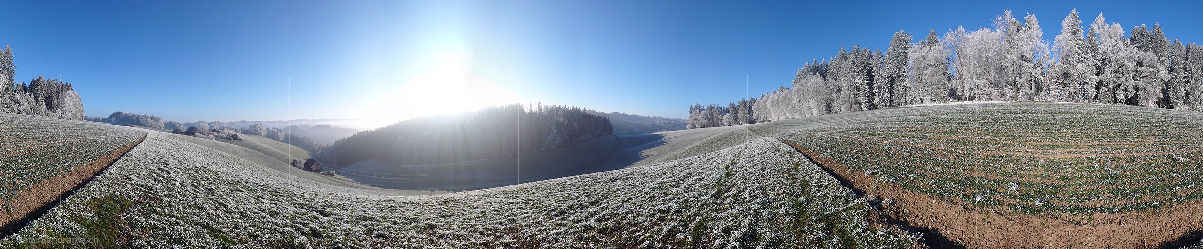 P001739: Panoramafoto Raureif