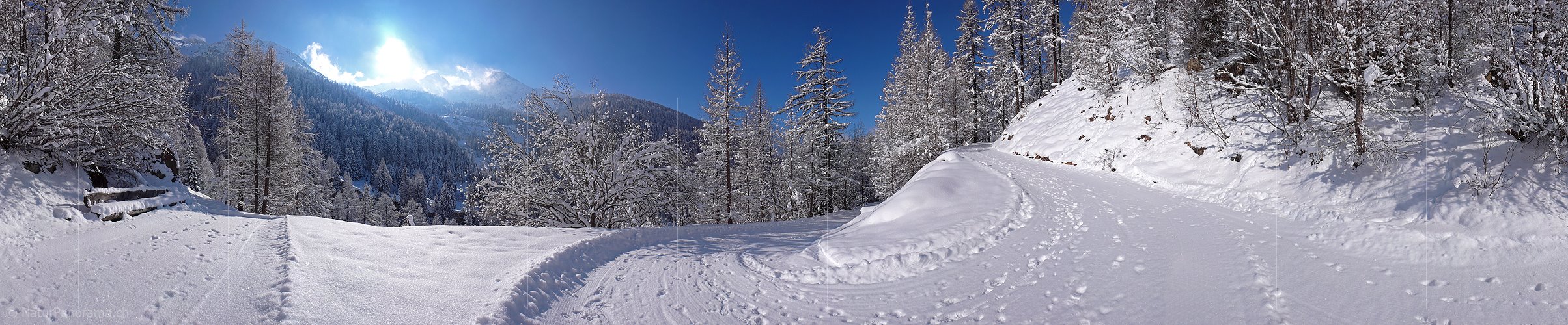 P001827: Panorama Winterwanderweg Binntal, Wallis