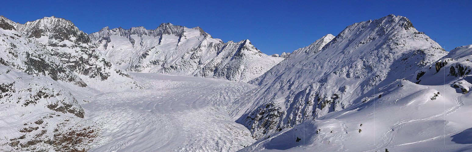 P001864: Panoramafoto Aletschgletscher und Bettmerhorn