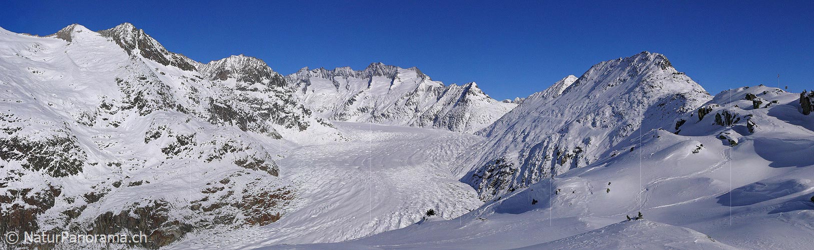 P001865: Panoramic view Aletsch glacier