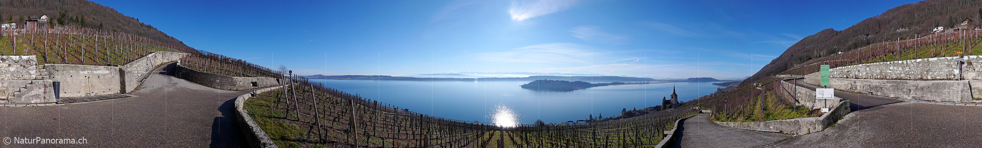 P001878: Panorama Ligerz, Bielersee und St. Petersinsel