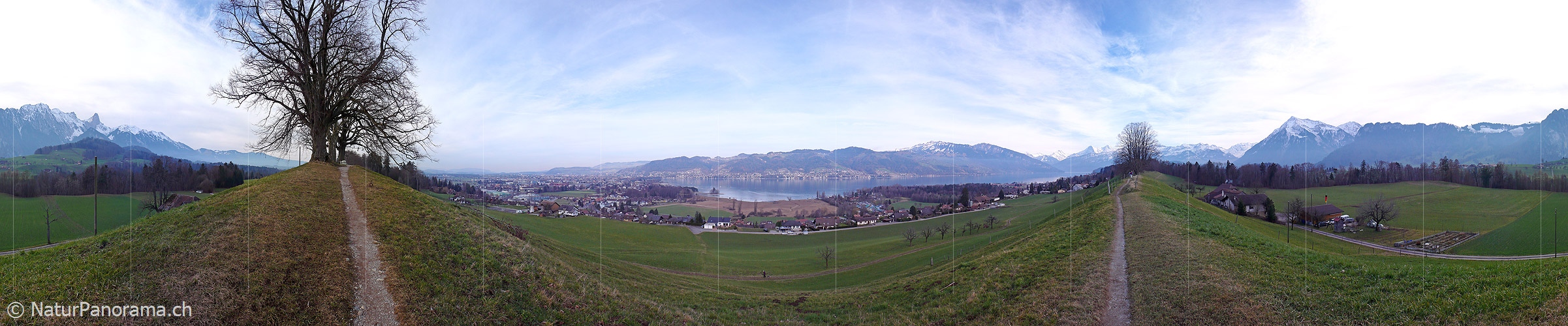P001919: Panorama Alpenrandsee