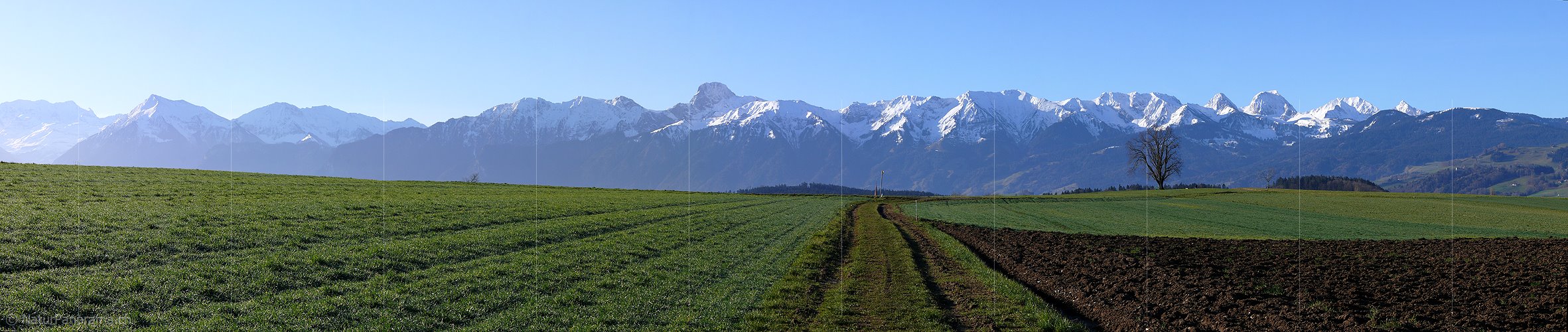 P001945: Panoramabild Stockhornkette