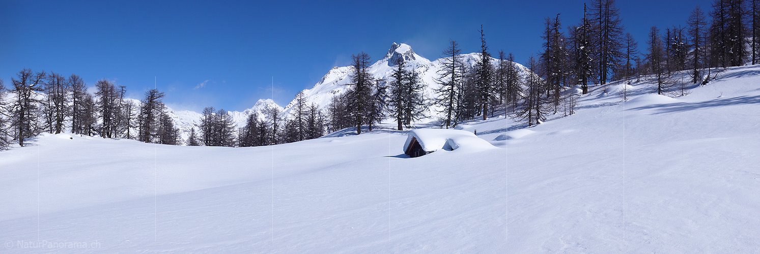 P001958: Panoramabild Alphütte im Winter