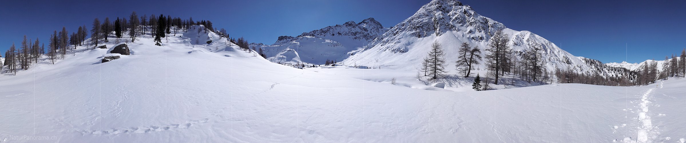 P001971: Panorama Hochplateau im Winter