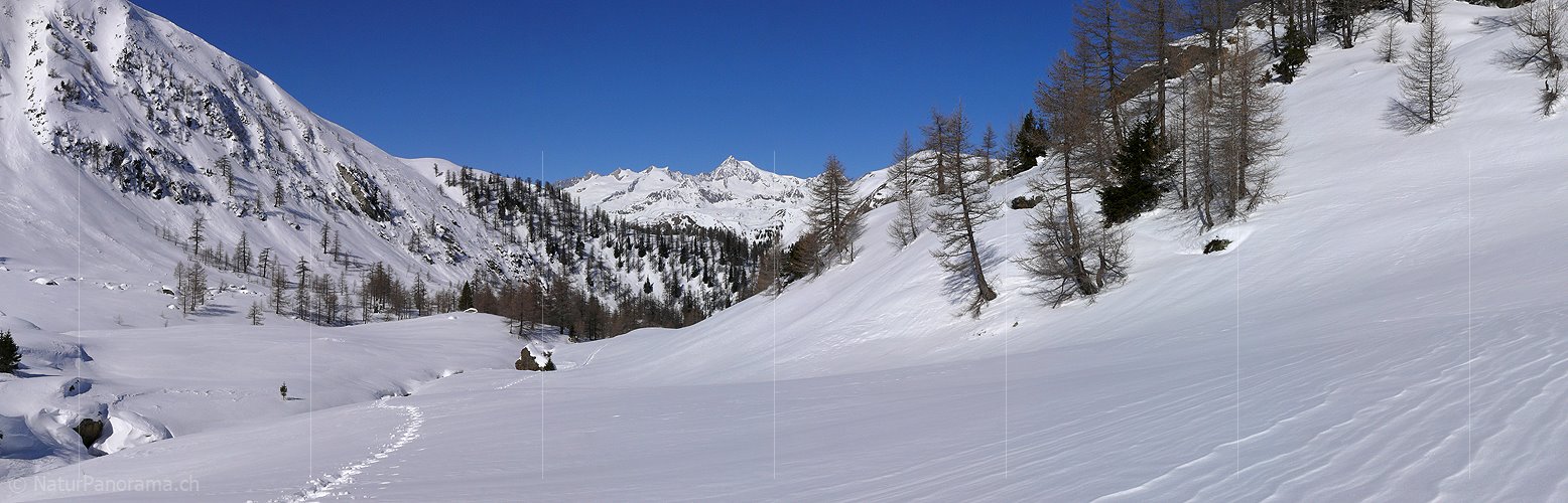 P001975: Panorama Aletschhorn
