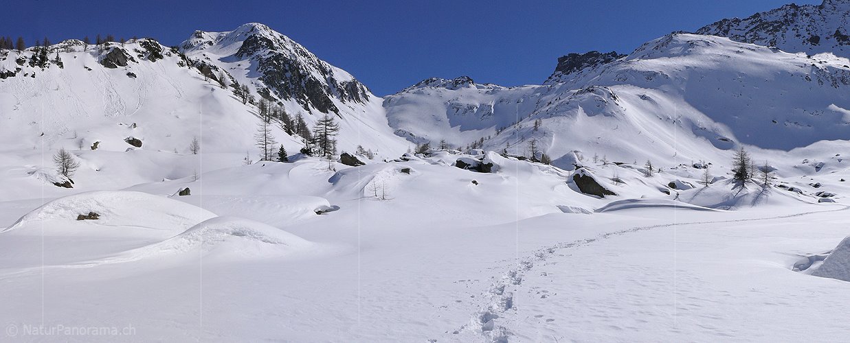 P001976: Panorama Bergwelt