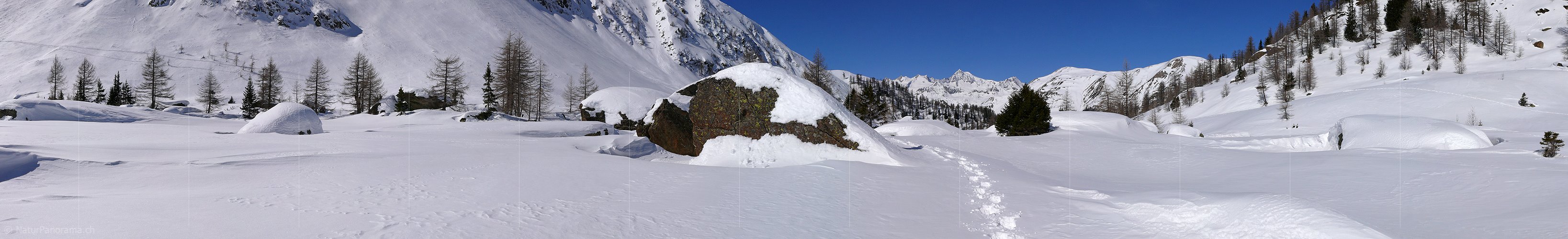 P001977: Panoramabild Bergwelt