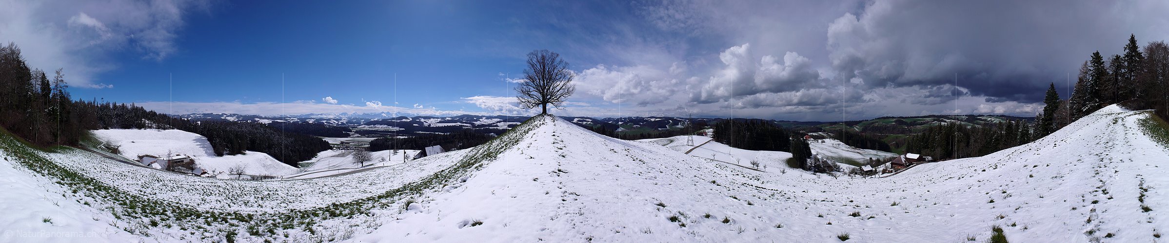 P001989: Panoramafoto Zwischenhoch nach Schneefall
