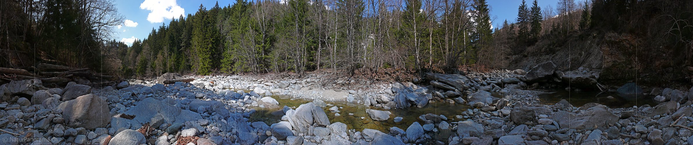 P002056: Panoramabild Wildbach