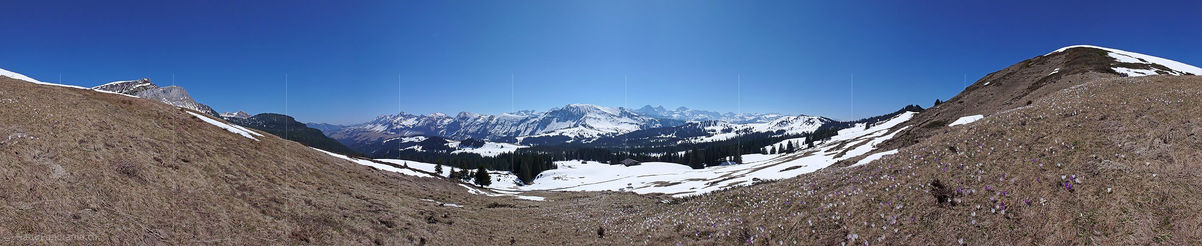 P002066: Panoramabild Bergfrühling