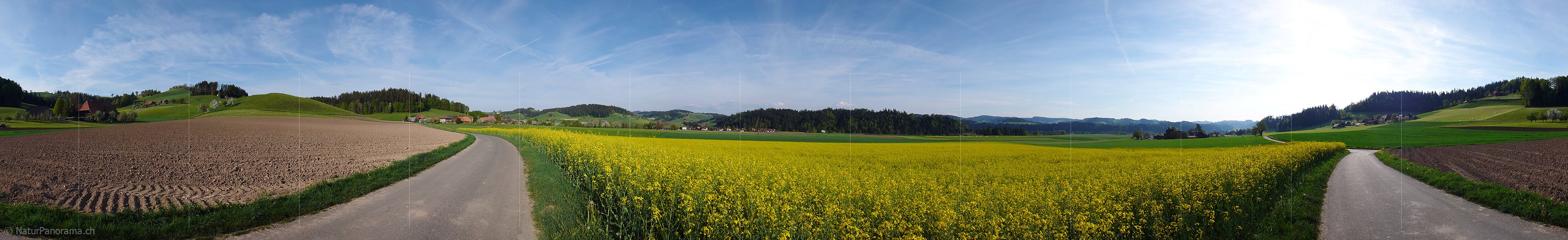 P002133: Panoramabild Rapsfeld