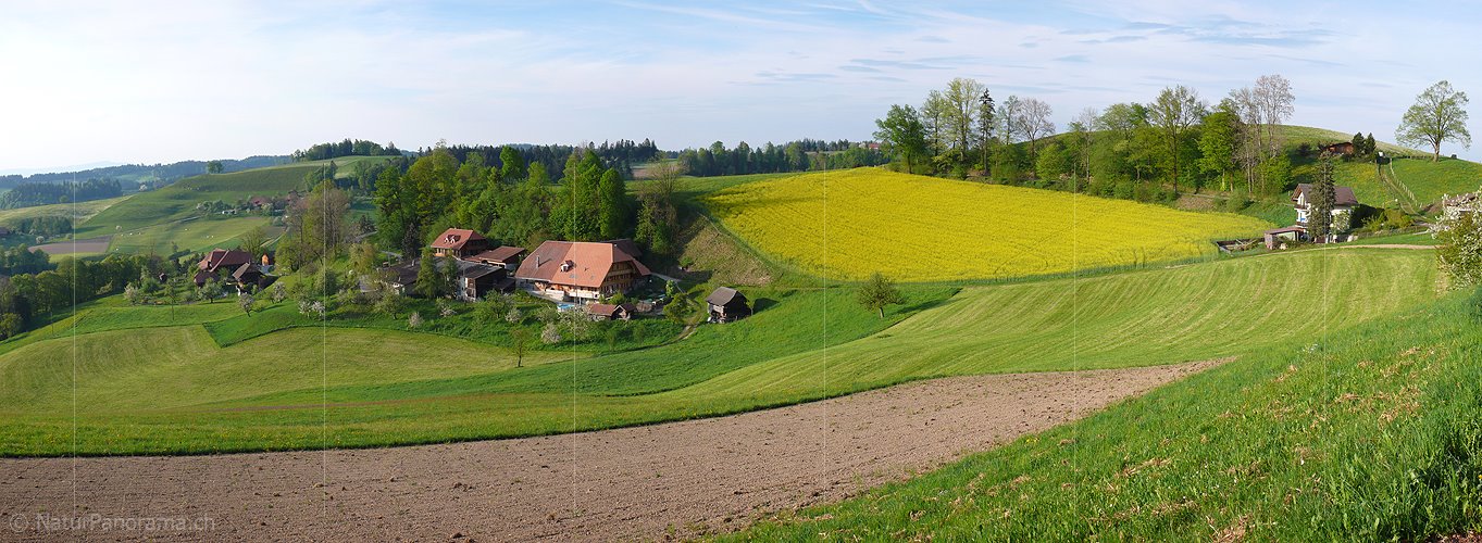 P002134: Panoramabild Bauernhof