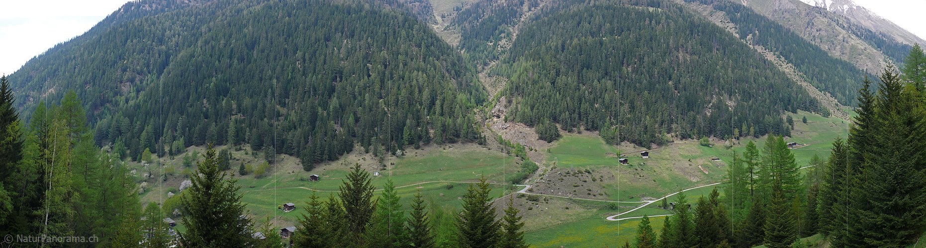P002154: Panorama Schutzwald