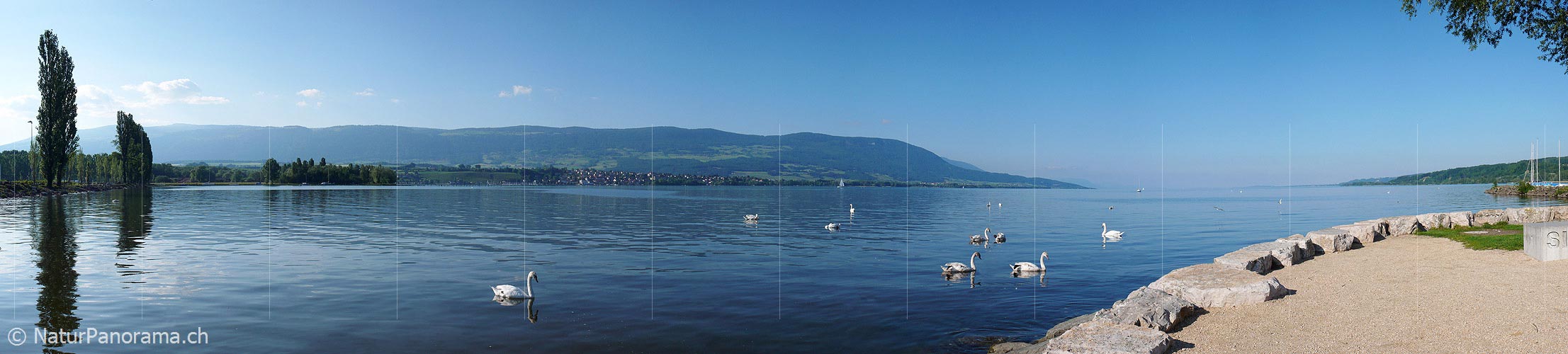 P002225: Panoramabild Yverdon und Neuenburgersee