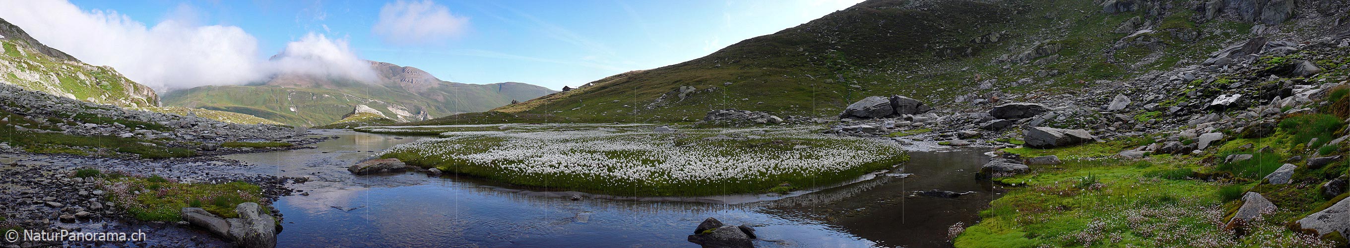 P002385: Panoramabild Morgenstimmung an Bergbach