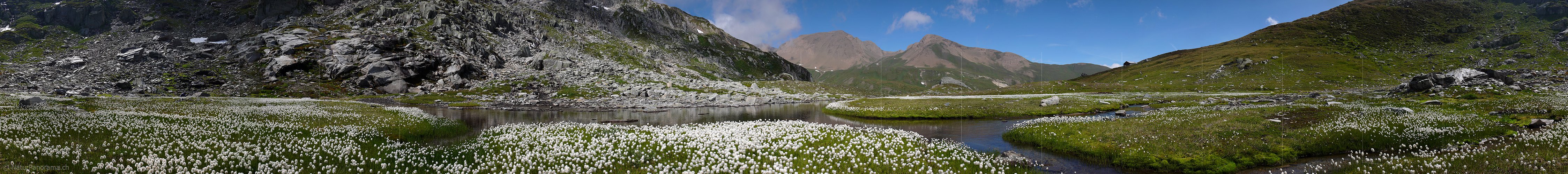 P002400: Panoramafoto Wasserlauf und Wollgras