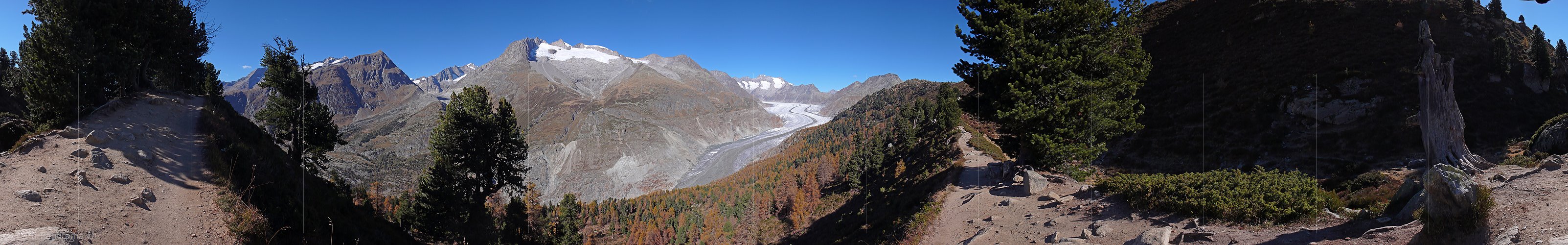 P002663: 360° Panoramafoto Aletschwald und Grosser Aletschgletscher (Stand 10.2007)
