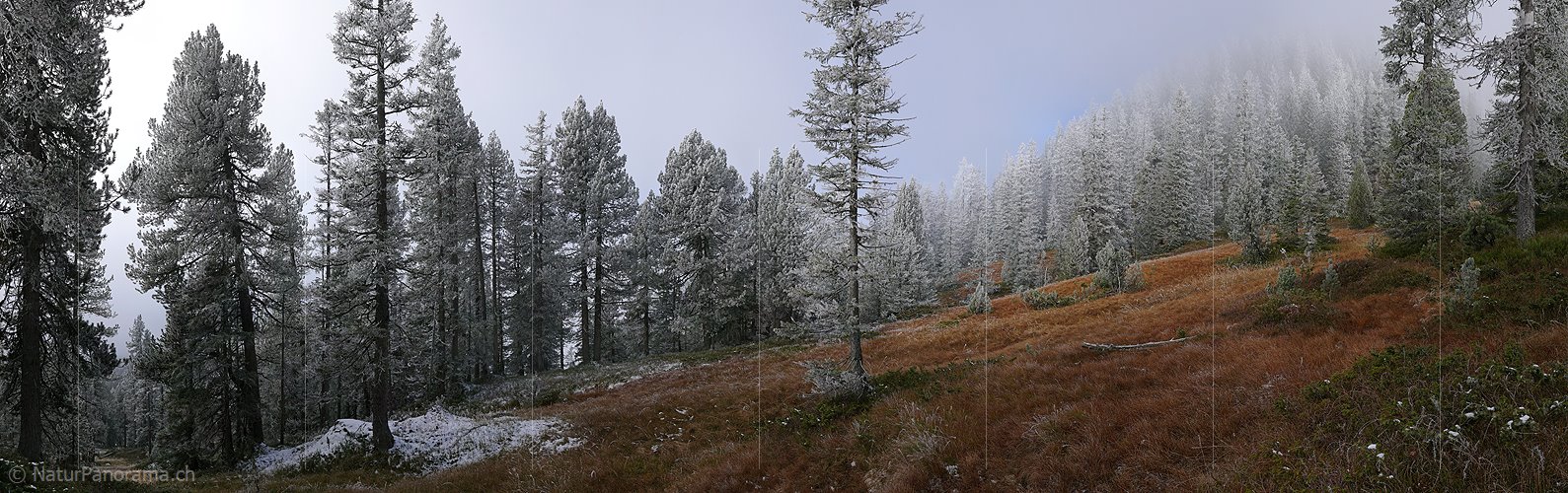 P002761: Panoramabild Märchenlandschaft