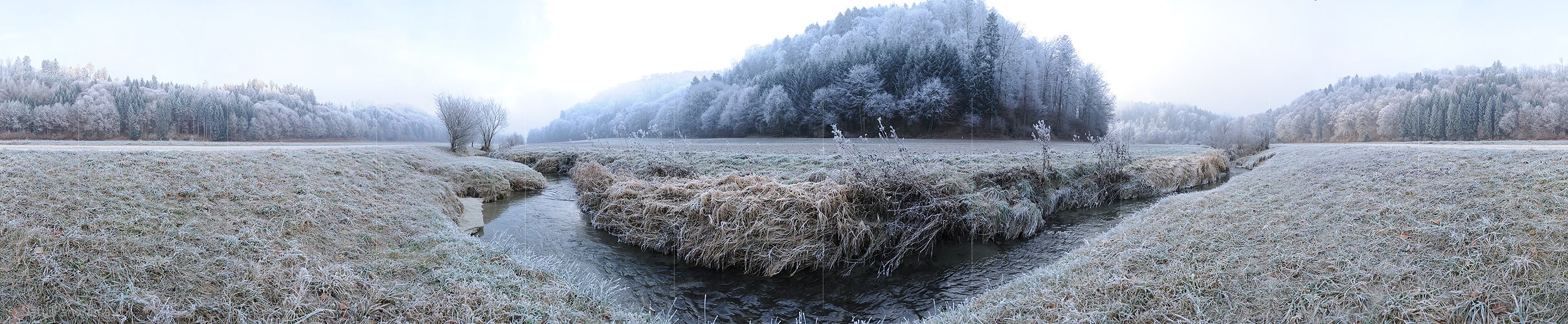 P003003: Panoramabild Renaturierter Bachlauf