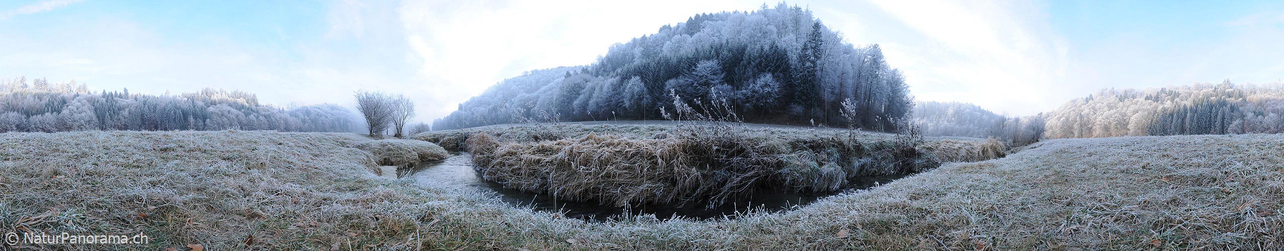 P003005: Panorama renatured stream