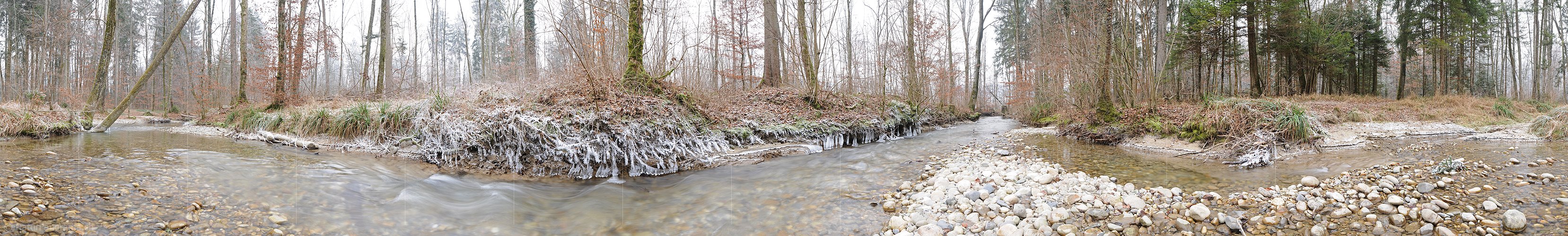 P003034: Panoramabild Bach im frostigen Auenwald