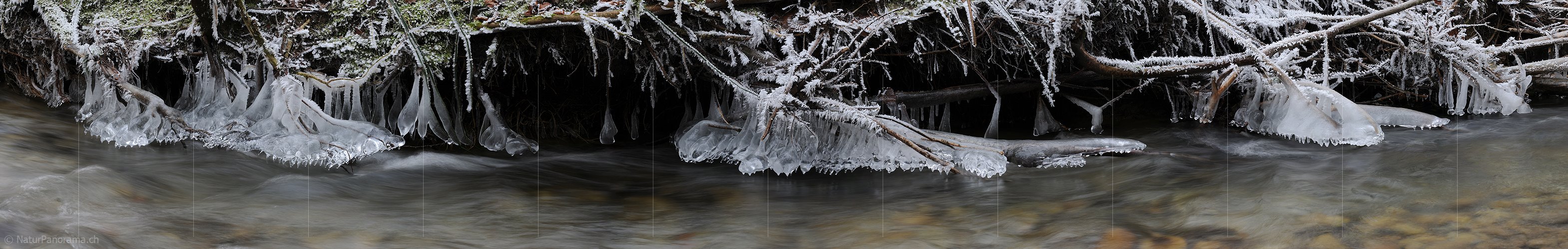 P003035: Panoramabild Eisgebilde (Eisbirne)
