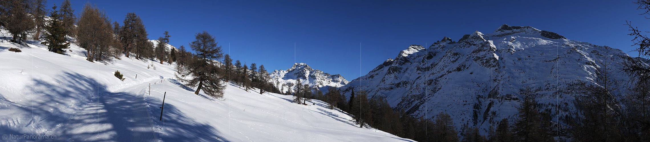 P003043: Panorama Winterlandschaft Im Binntal