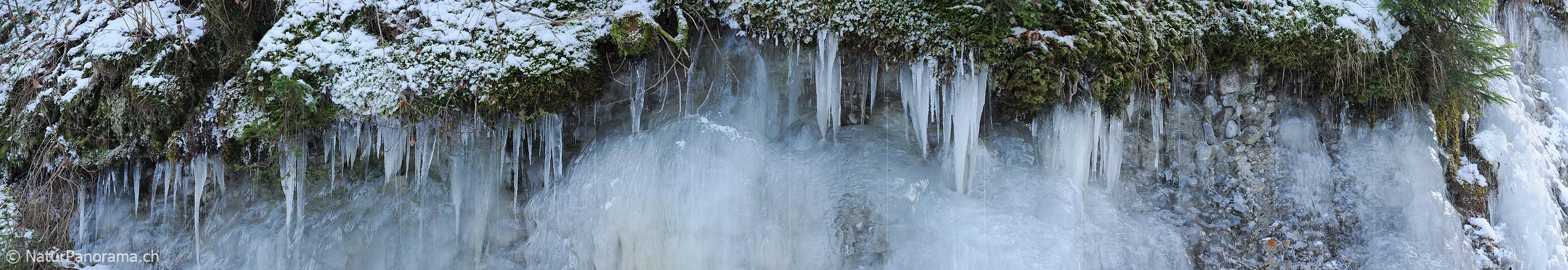 P003080: Panoramic icicles and moss