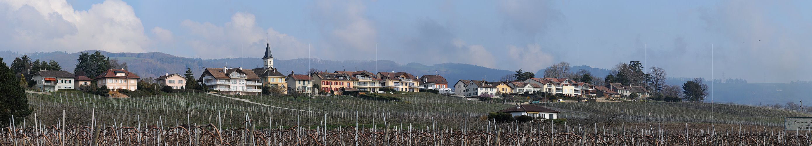 P003313: Panoramabild Winzerdorf