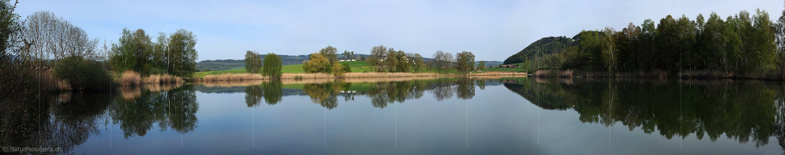 P003464: Panoramabild Spiegelung von Bäumen im Gerzensee