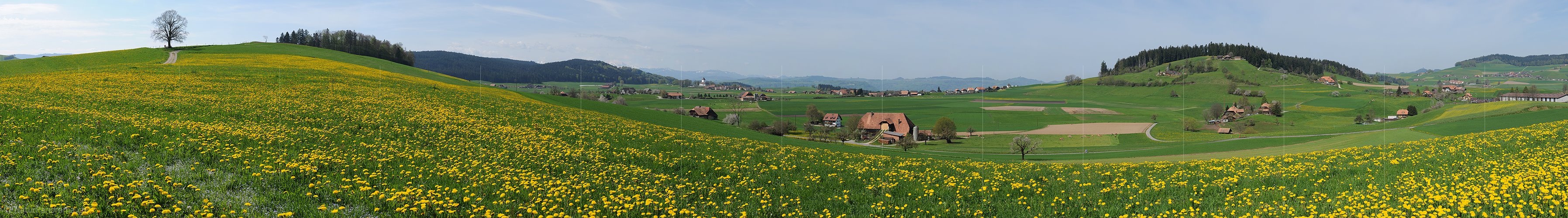 P003484: Grosspanorama Frühlingslandschaft
