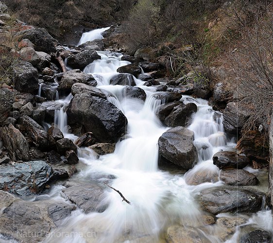 P003601: Panoramabild Langzeitbelichtung Bergbach