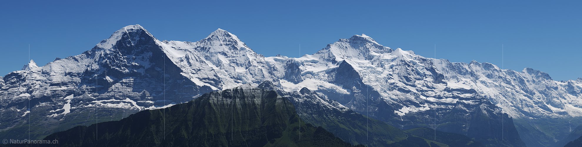 P003892g: Grosspanorama Eiger, Mönch und Jungfrau und Co. von der Schynige Platte