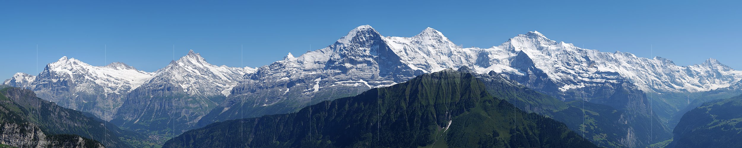 P003897b: Panoramafoto von Wetterhorn, Schreckhorn, Eiger, Mönch und Jungfrau von der Schynigen Platte