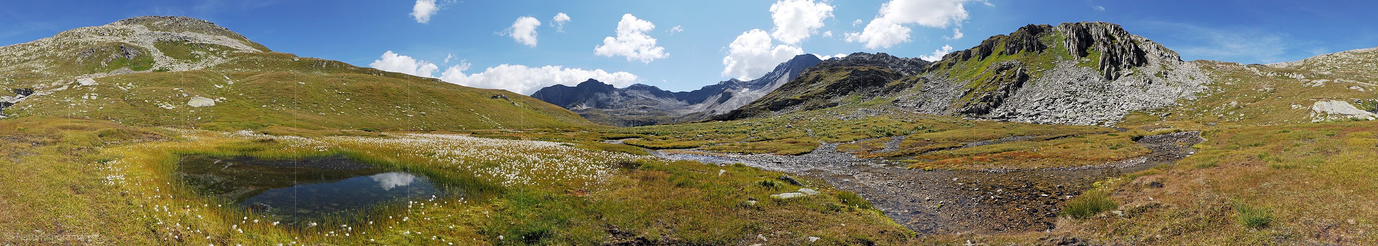 P004071: Panoramabild Tümpel und Wollgras in urtümlicher Landschaft