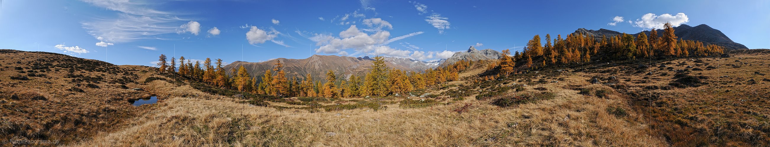 P004264: 360° Panoramabild Goldene Lärchen