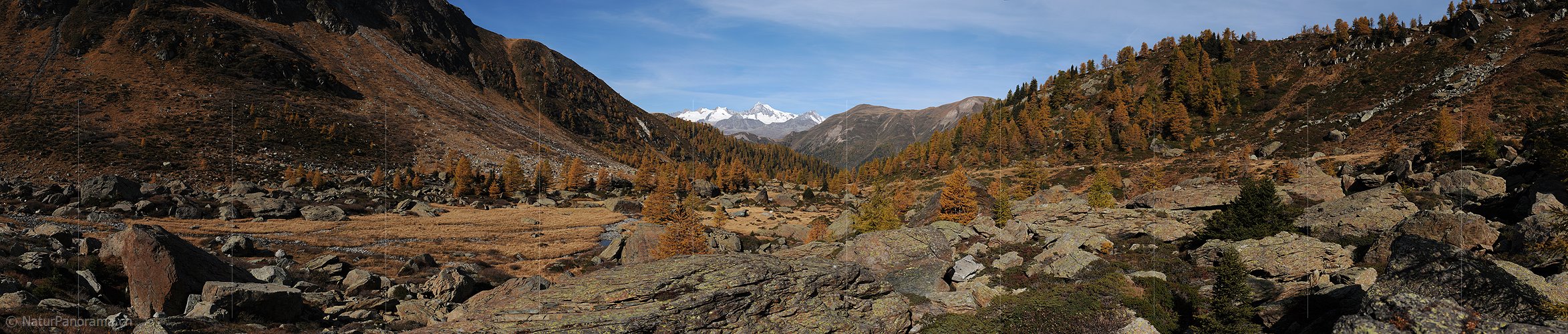 P004282: Grosspanoramabild Urtümliche Herbstlandschaft