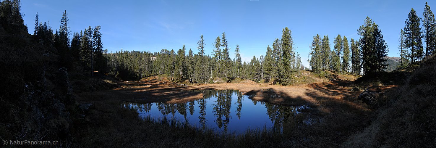 P004330: Grosspanorama Spiegelung in Waldsee